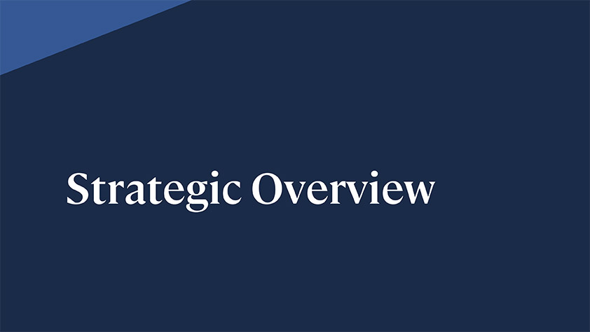 Strategic overview